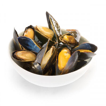 Green Mussel